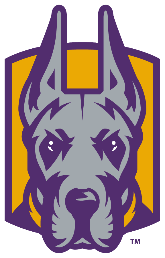 Albany Great Danes 2020-Pres Alternate Logo v3 iron on transfers for T-shirts